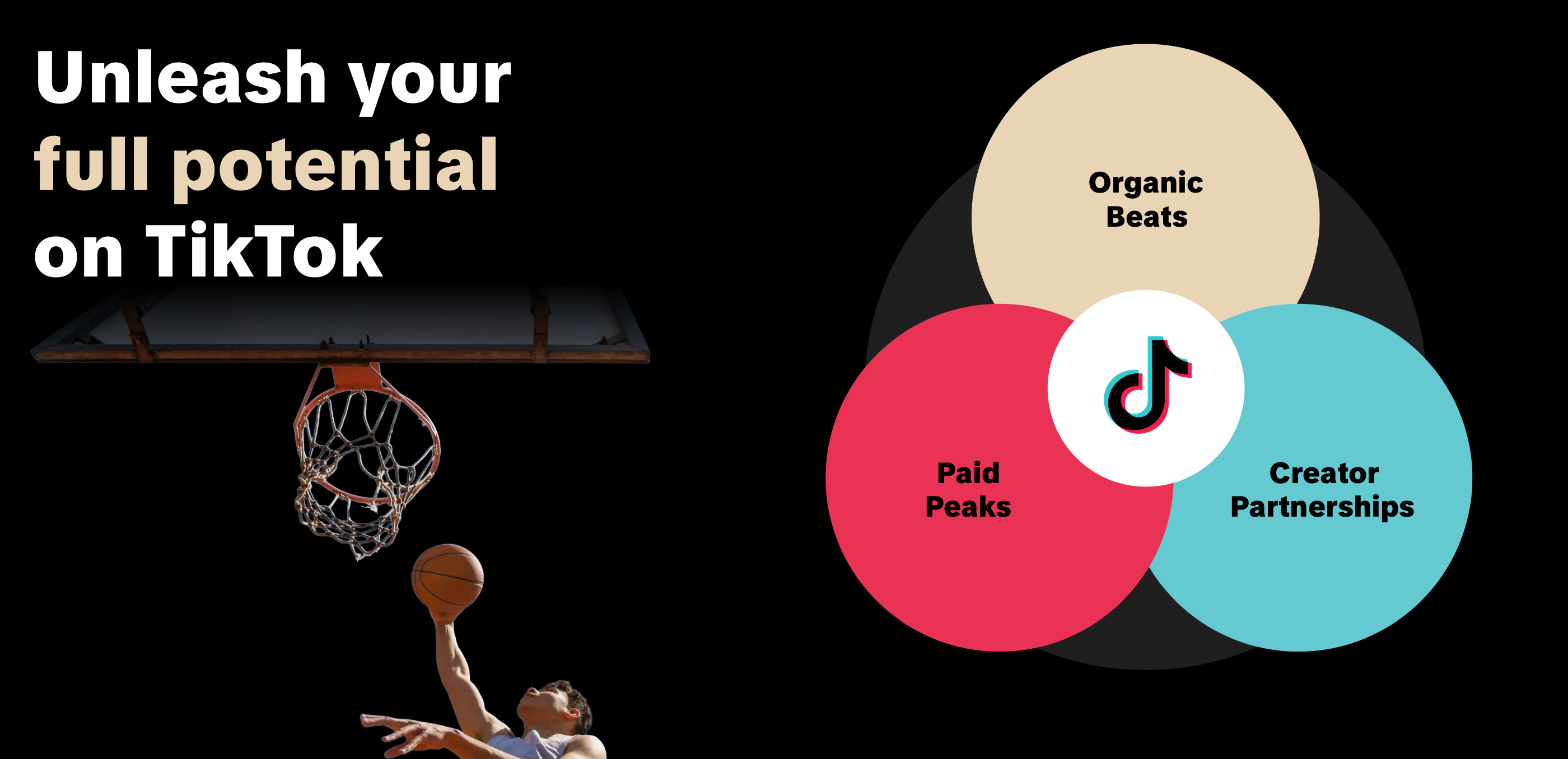 Volles TikTok-Potenzial entsteht im Zusammenspiel von Organic Beats, Paid Peaks und Creator Partnerships